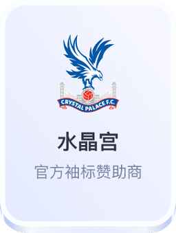 开云体育水晶宫足球俱乐部官方袖标赞助商